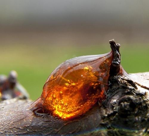 1411295693_408370965